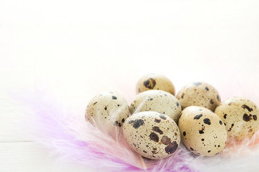 Similar image 20984240