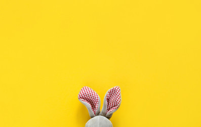 Similar image 20984251