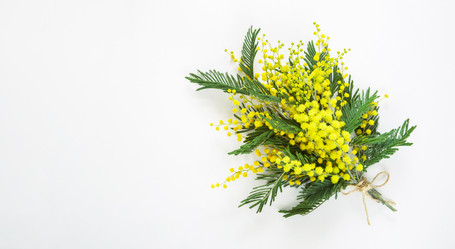 Similar image 20985179