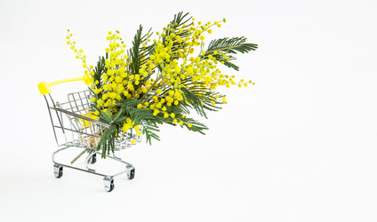 Similar image 20985195