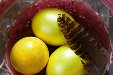 Similar image 20991106