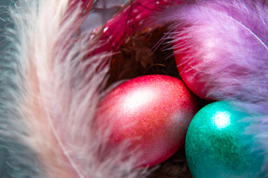 Similar image 20982329