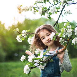 Similar image 20984259