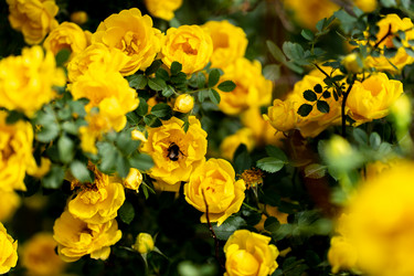 Similar image 20974864