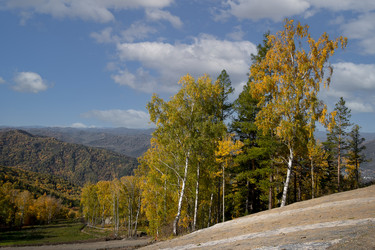 Similar image 20982130