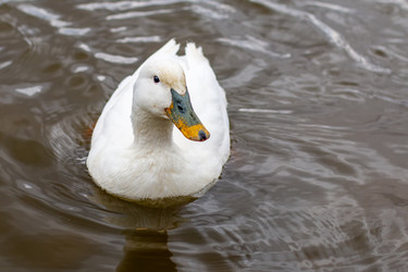 Similar image 20982147