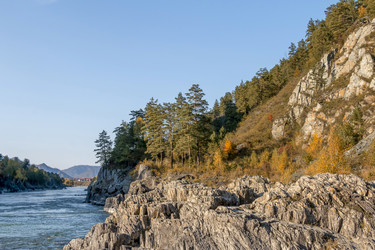 Similar image 20982153