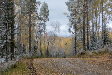 Similar image 20982155