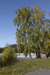 Similar image 20982841