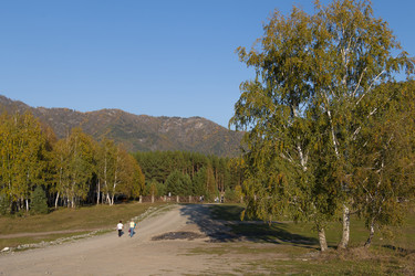 Similar image 20982842