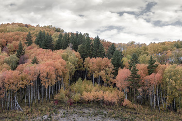 Similar image 20982864