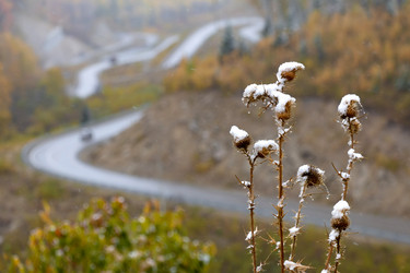 Similar image 20982865