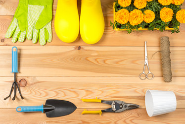 Similar image 20974914