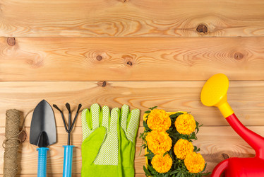 Similar image 20974915