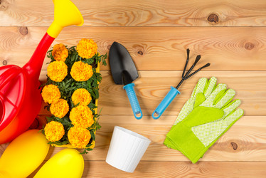 Similar image 20974943