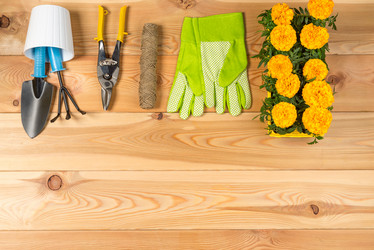 Similar image 20974944