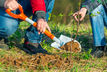 Similar image 20974653