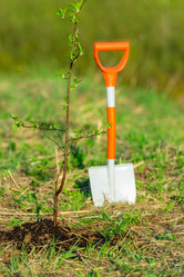 Similar image 20974657