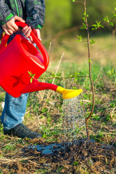 Similar image 20974658