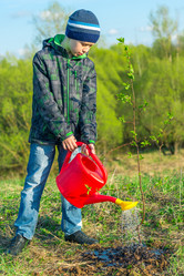 Similar image 20974659