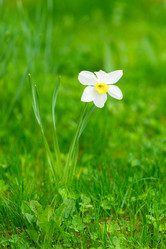 Similar image 20974661