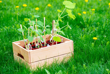 Similar image 20974662