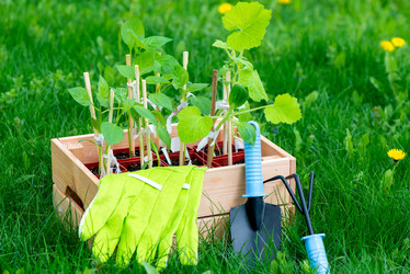 Similar image 20974664