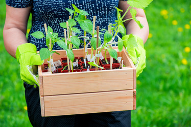 Similar image 20974666