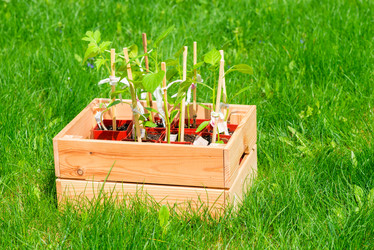 Similar image 20974679