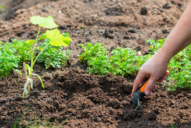 Similar image 20974681