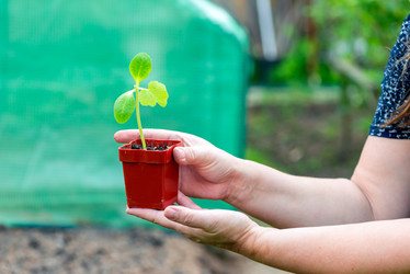 Similar image 20974683