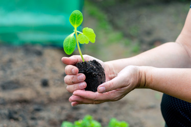 Similar image 20974684