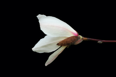 Similar image 20979292