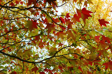 Similar image 20981036