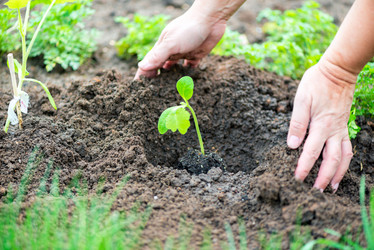 Similar image 20974947