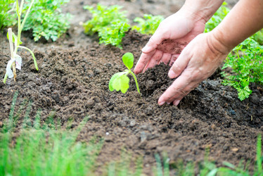 Similar image 20974999