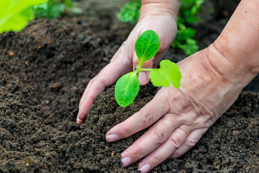 Similar image 20975000