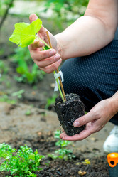 Similar image 20975001