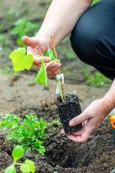 Similar image 20975002