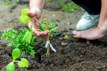 Similar image 20975005