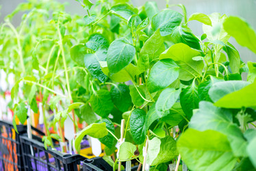 Similar image 20975011