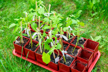 Similar image 20975013