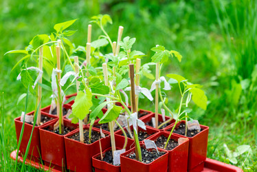 Similar image 20975014