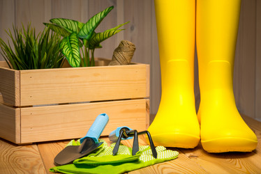 Similar image 20974707