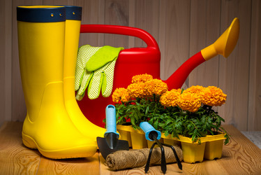 Similar image 20974708