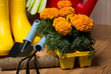 Similar image 20974710