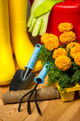 Similar image 20974711