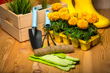 Similar image 20974712