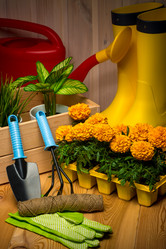 Similar image 20974713