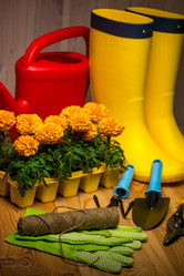 Similar image 20974715